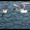 20050310_IMG_303
